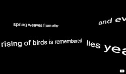 a vague trembling of stars is lost
